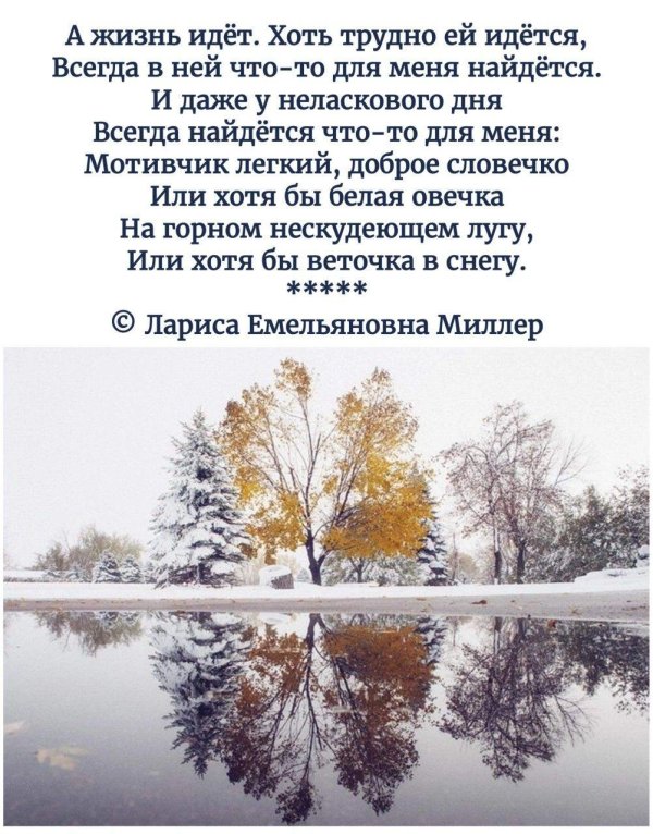 Зима со стихами