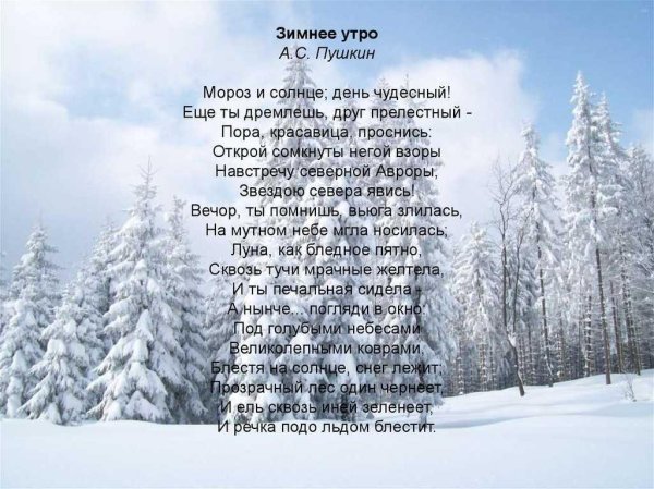 Зима со стихами