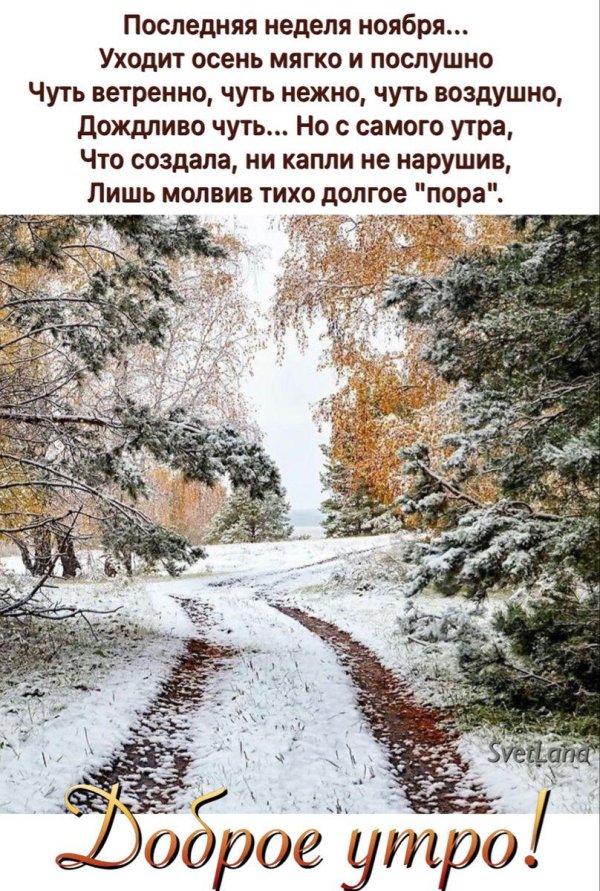 Зима со стихами