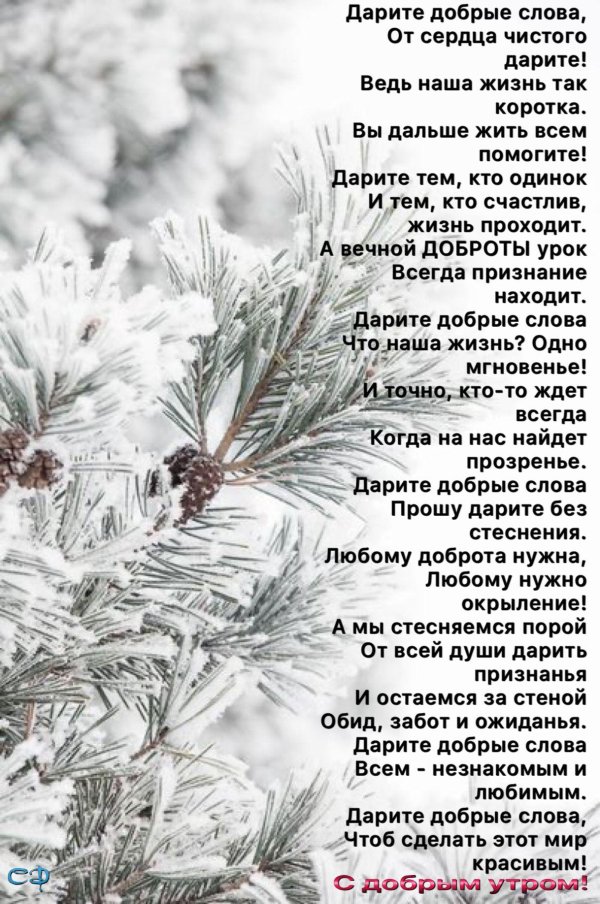 Зима со стихами