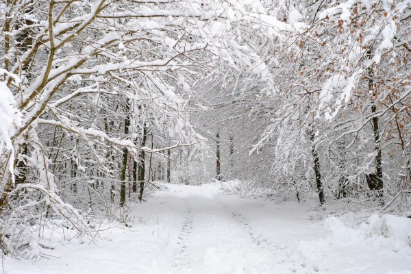 Зима со стихами