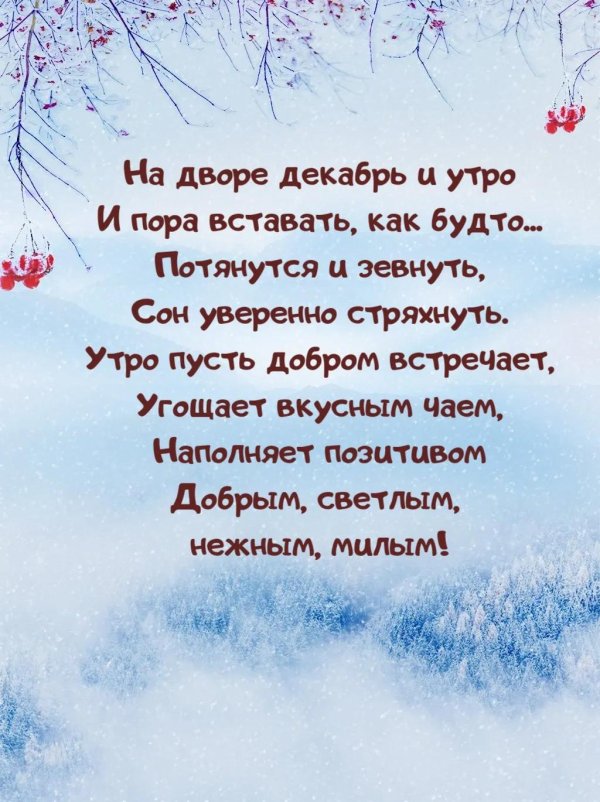 Зима со стихами