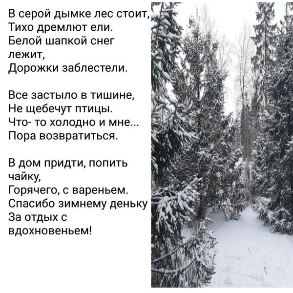 Зима со стихами