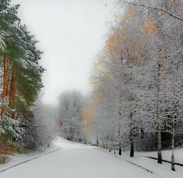 Зима со стихами