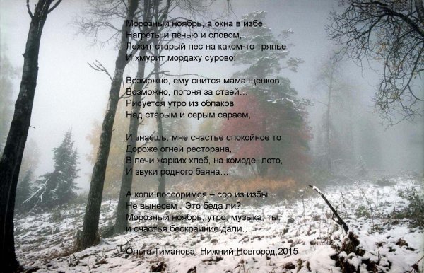 Зима со стихами