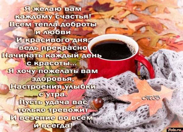 Зима со стихами