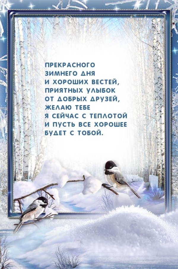 Зима со стихами