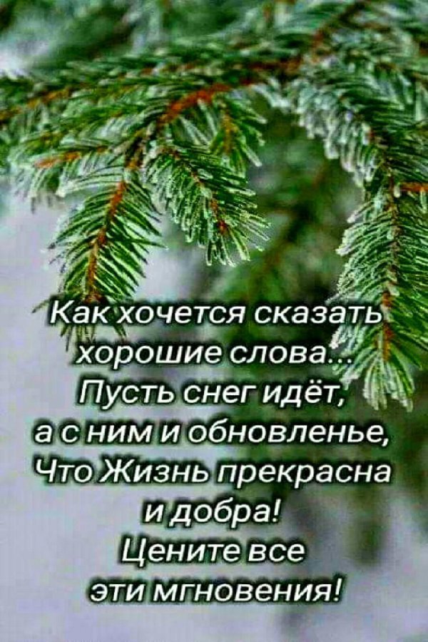 Зима со стихами