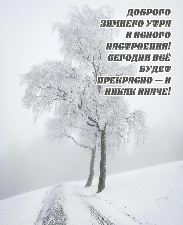 Зима со стихами