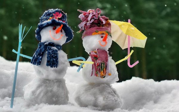 Зима веселые