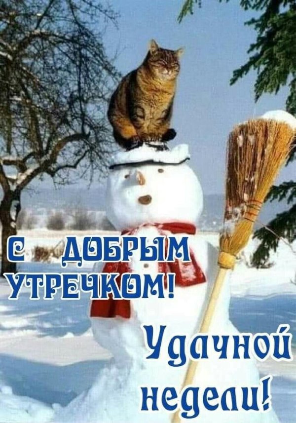 Зима веселые