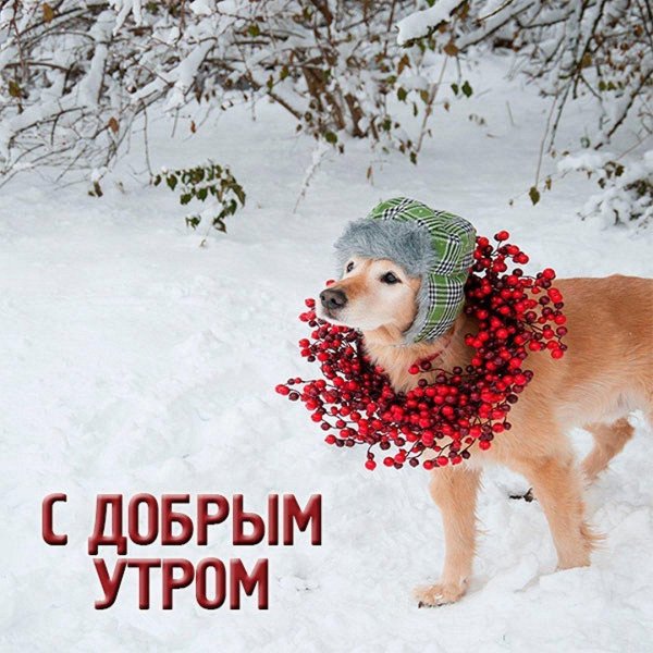 Зима веселые