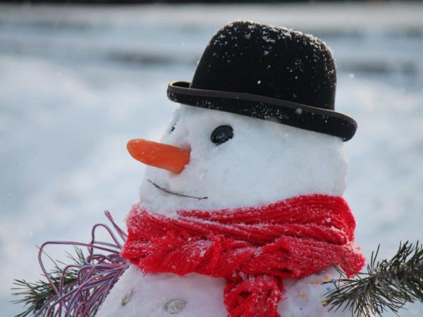 Зима веселые