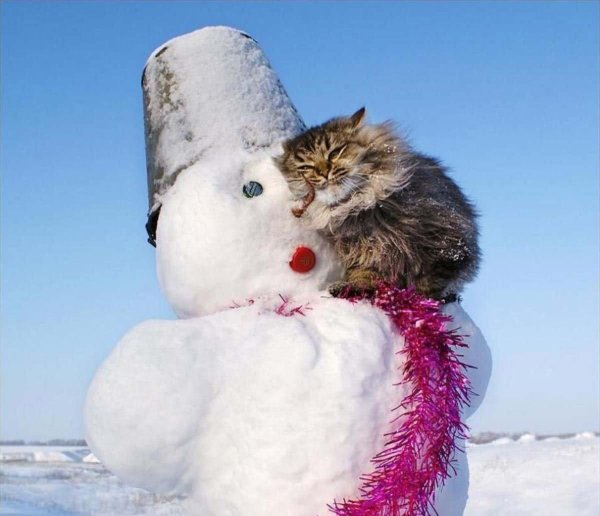 Зима веселые