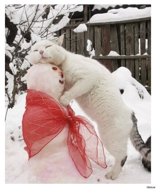 Зима веселые