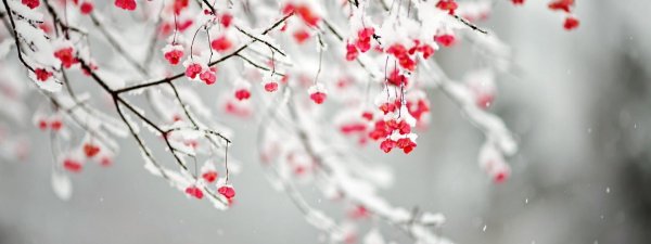 Зима горизонтальные