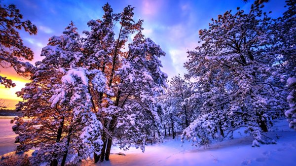 Зима горизонтальные