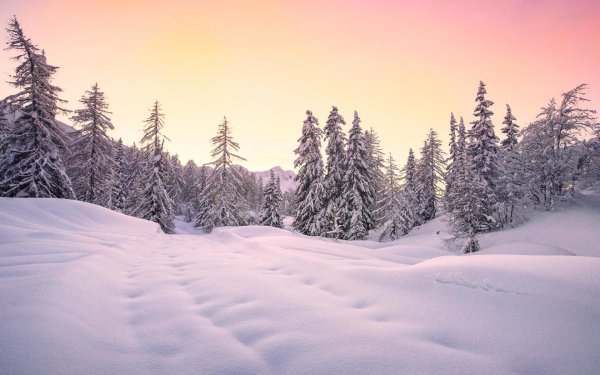 Зима горизонтальные