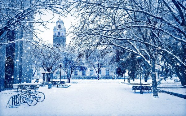 Зима горизонтальные