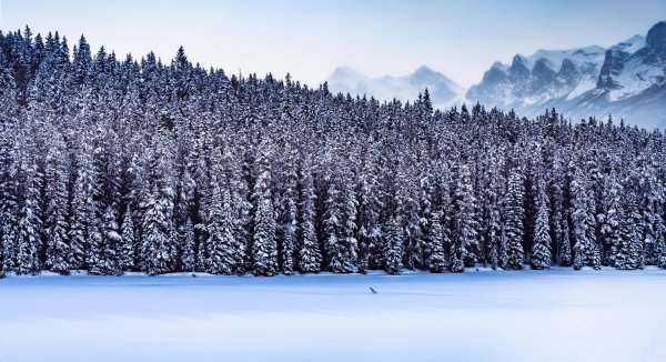 Зима горизонтальные