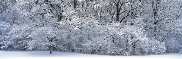 Зима горизонтальные