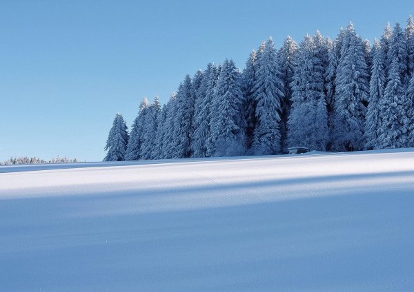 Зима горизонтальные