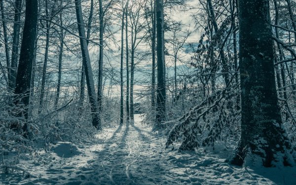 Зима горизонтальные