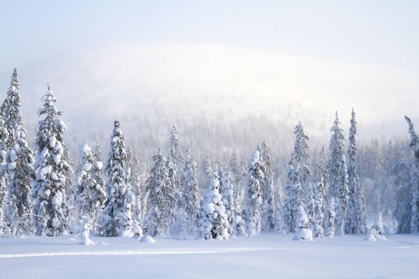 Зима горизонтальные