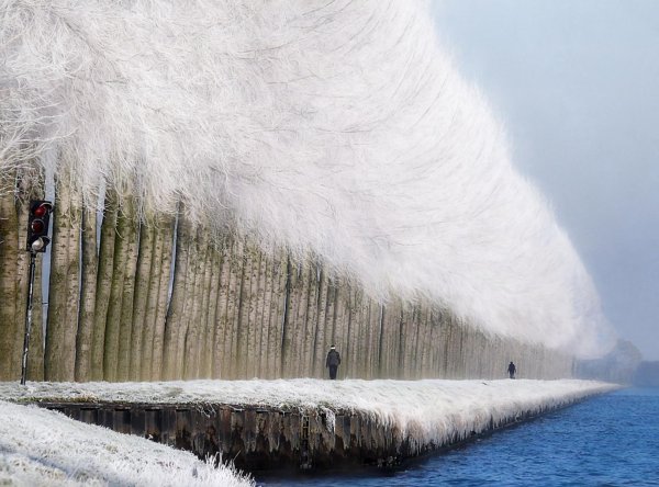 Зима необычные