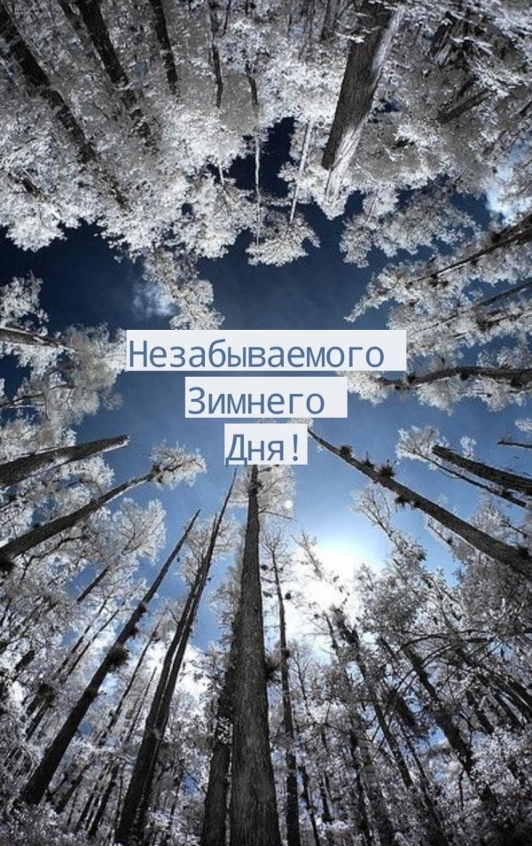 Зима необычные