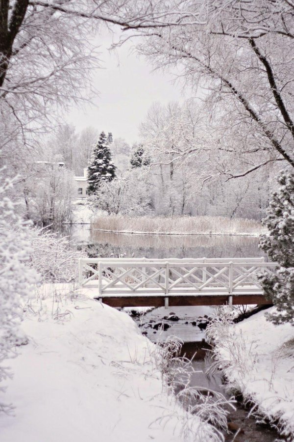 Зима необычные