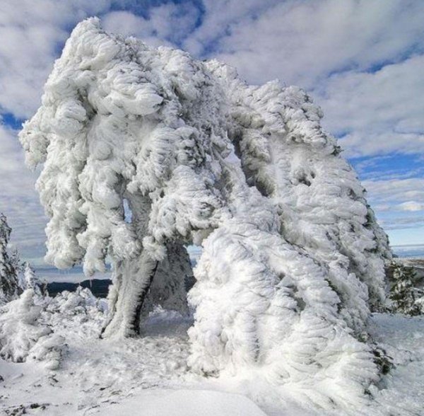 Зима необычные