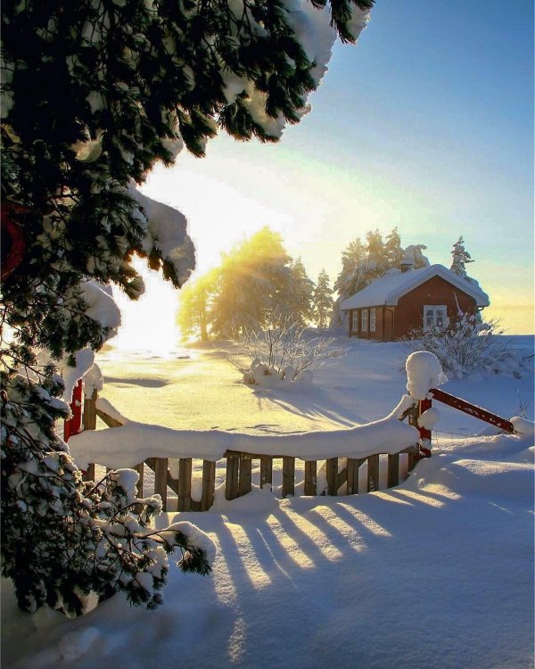 Зима необычные