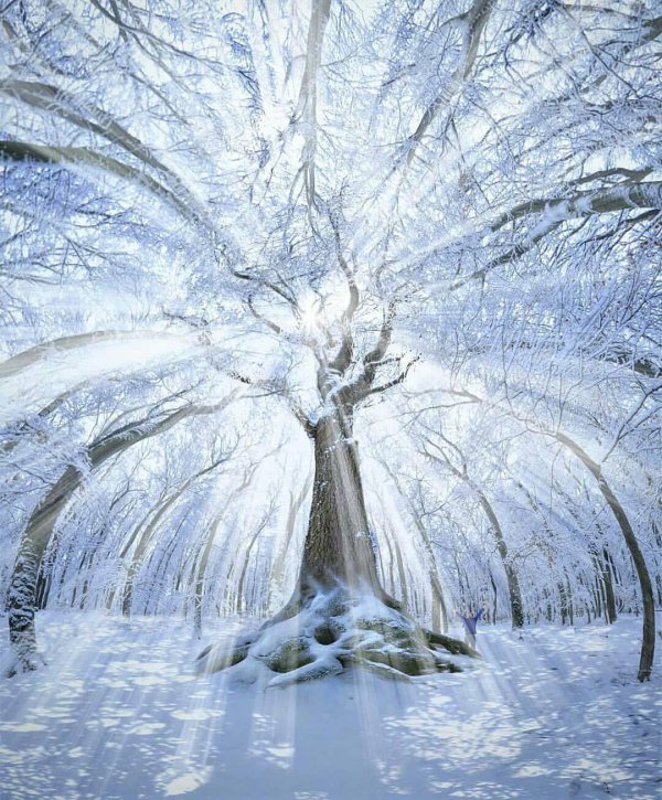 Зима необычные