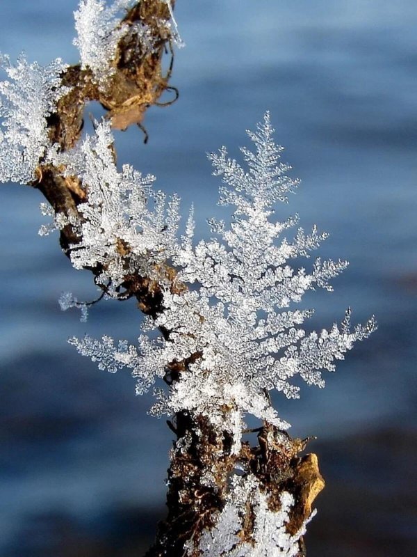 Зима необычные