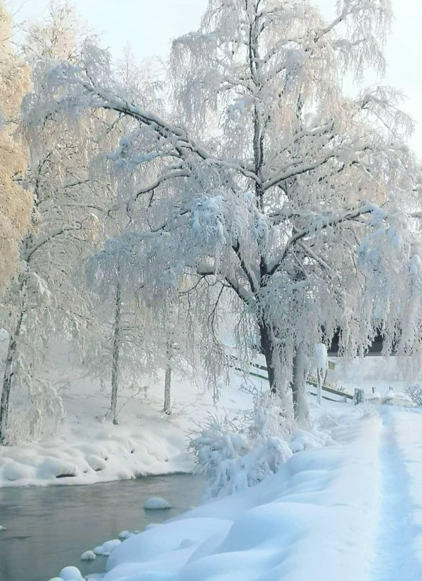 Зима необычные