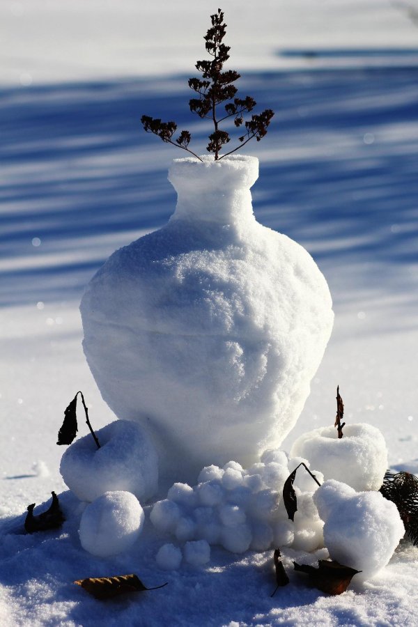 Зима необычные