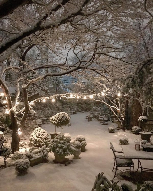 Зима необычные