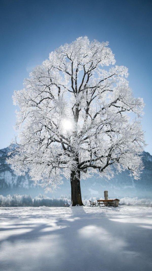 Зима необычные