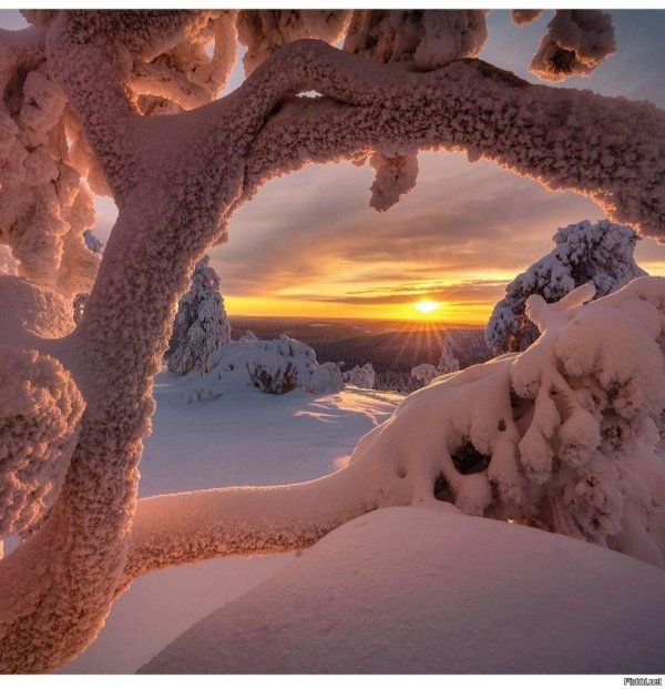 Зима необычные