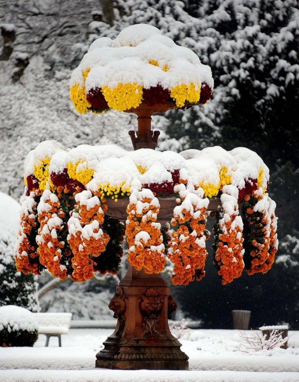 Зима необычные