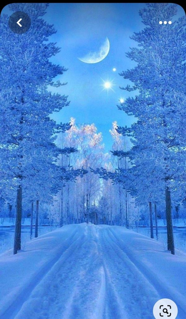 Зима необычные