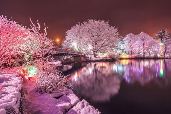 Зима необычные