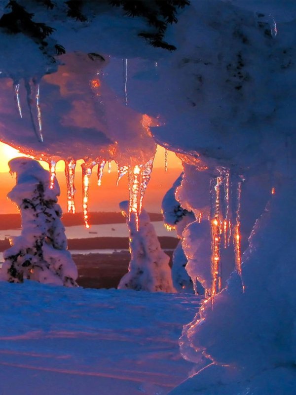 Зима необычные