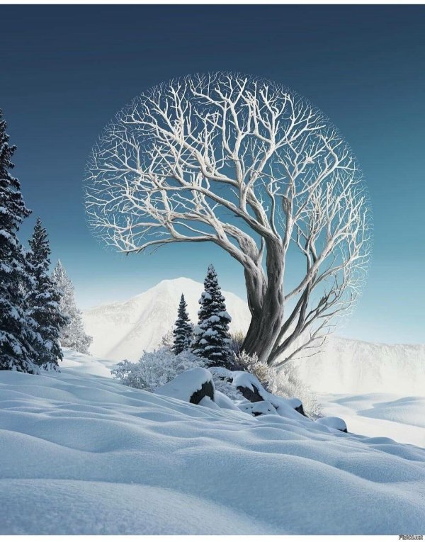 Зима необычные