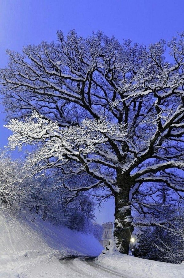 Зима необычные