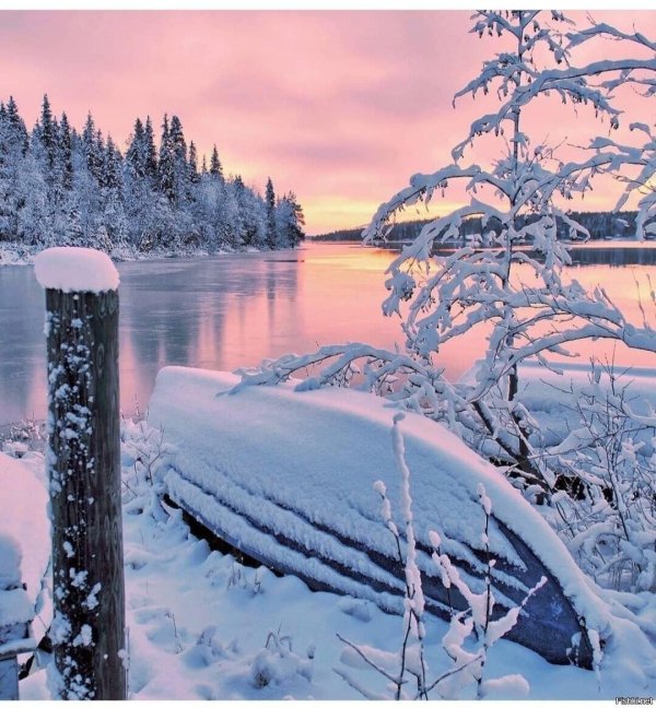 Зима необычные