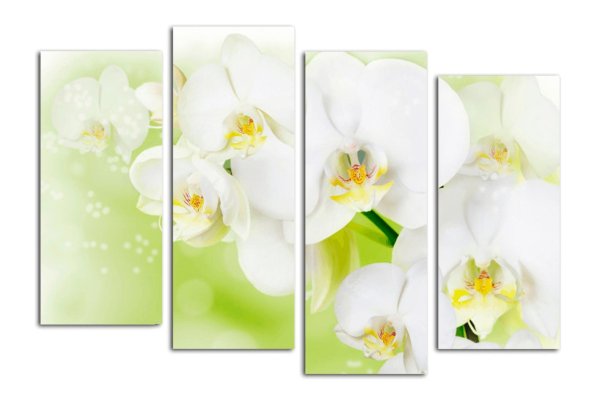 модульная картина орхидея