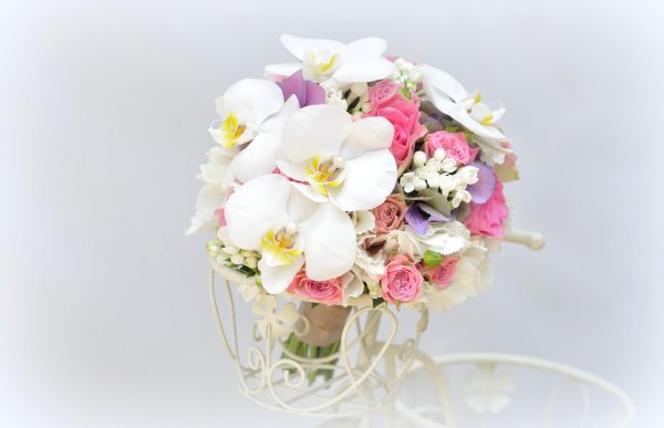 орхидея букетная