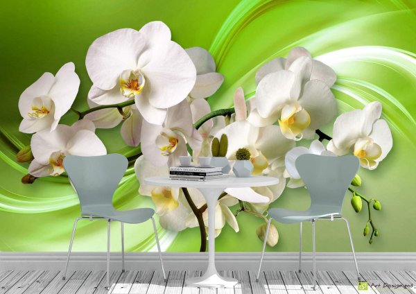обои с орхидеями для стен